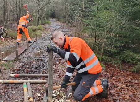 Två män i orange arbetskläder slår ner träpålar för att lägga ut en spång på en lerig stig i skogen. 