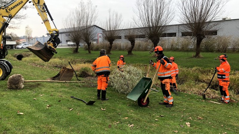 Trädplantering längs våra åar