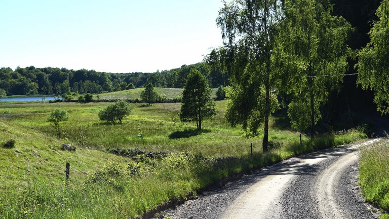 Vy över Dagstorpssjön