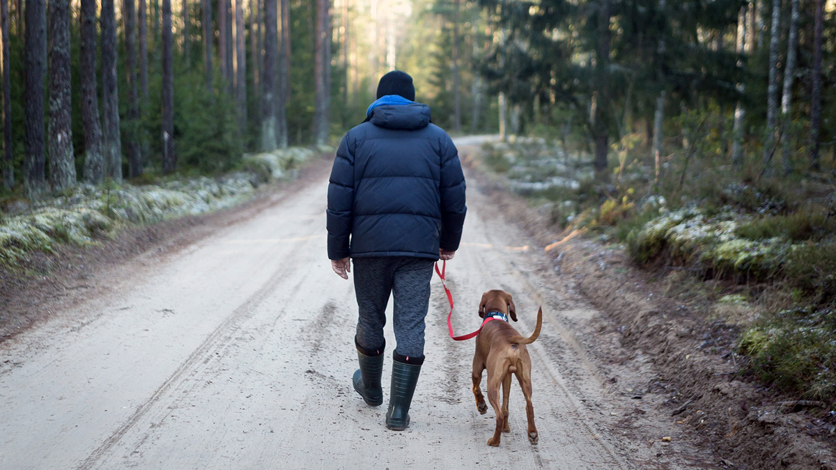 Allemansrätten — Höörs kommun