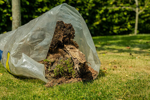 Plastsäck med trädgårdsavfall på en gräsmatta.