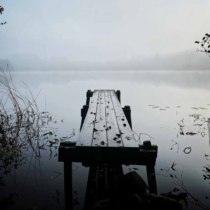 Bild på fiskebrygga längs med Vaxsjön dimmig horisont kan skönjas i bakgrunden